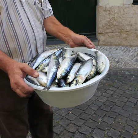 Rooftop In Alfama - Little Triplex Appartement *